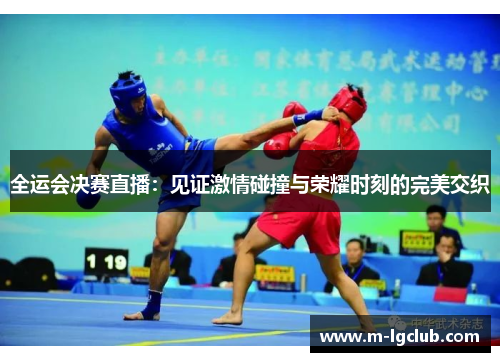 全运会决赛直播：见证激情碰撞与荣耀时刻的完美交织