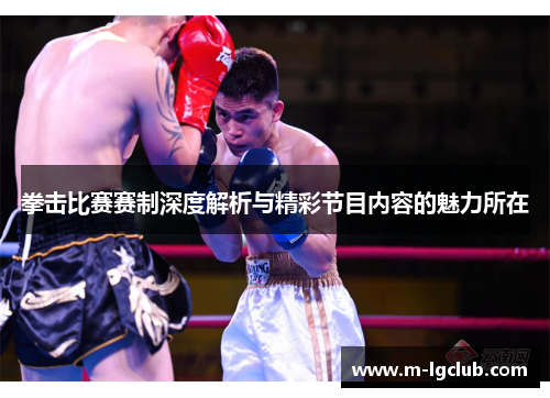 拳击比赛赛制深度解析与精彩节目内容的魅力所在