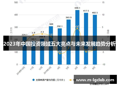 2023年中国投资领域五大亮点与未来发展趋势分析
