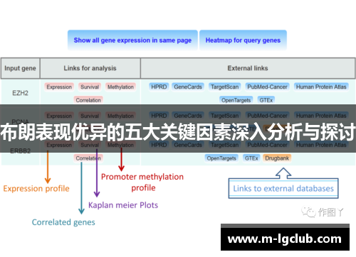 布朗表现优异的五大关键因素深入分析与探讨