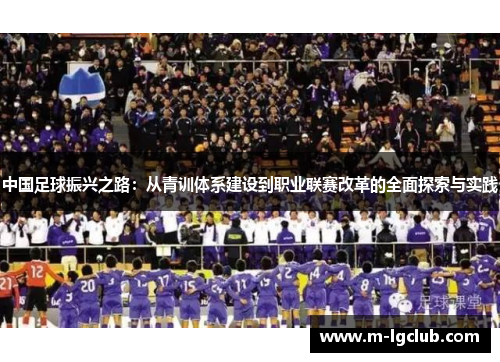 中国足球振兴之路：从青训体系建设到职业联赛改革的全面探索与实践