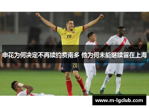 申花为何决定不再续约费南多 他为何未能继续留在上海