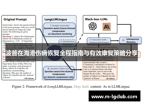 波普在海港伤病恢复全程指南与有效康复策略分享