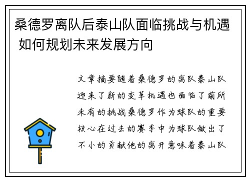 桑德罗离队后泰山队面临挑战与机遇 如何规划未来发展方向