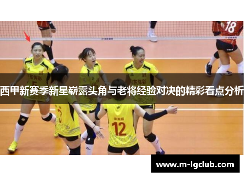 西甲新赛季新星崭露头角与老将经验对决的精彩看点分析