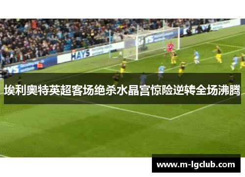 埃利奥特英超客场绝杀水晶宫惊险逆转全场沸腾 埃利奥特英超客场绝杀水晶宫惊险逆转全场沸腾