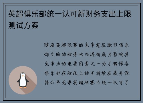 英超俱乐部统一认可新财务支出上限测试方案 英超俱乐部统一认可新财务支出上限测试方案